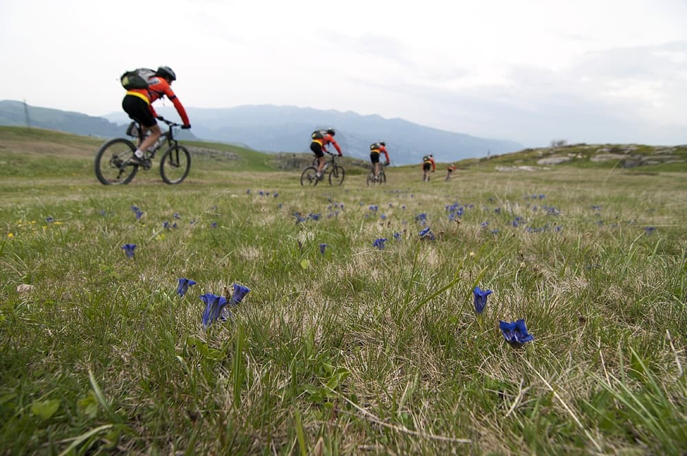 MTB Lessinia: bike nel parco naturale tra Trentino e Veneto