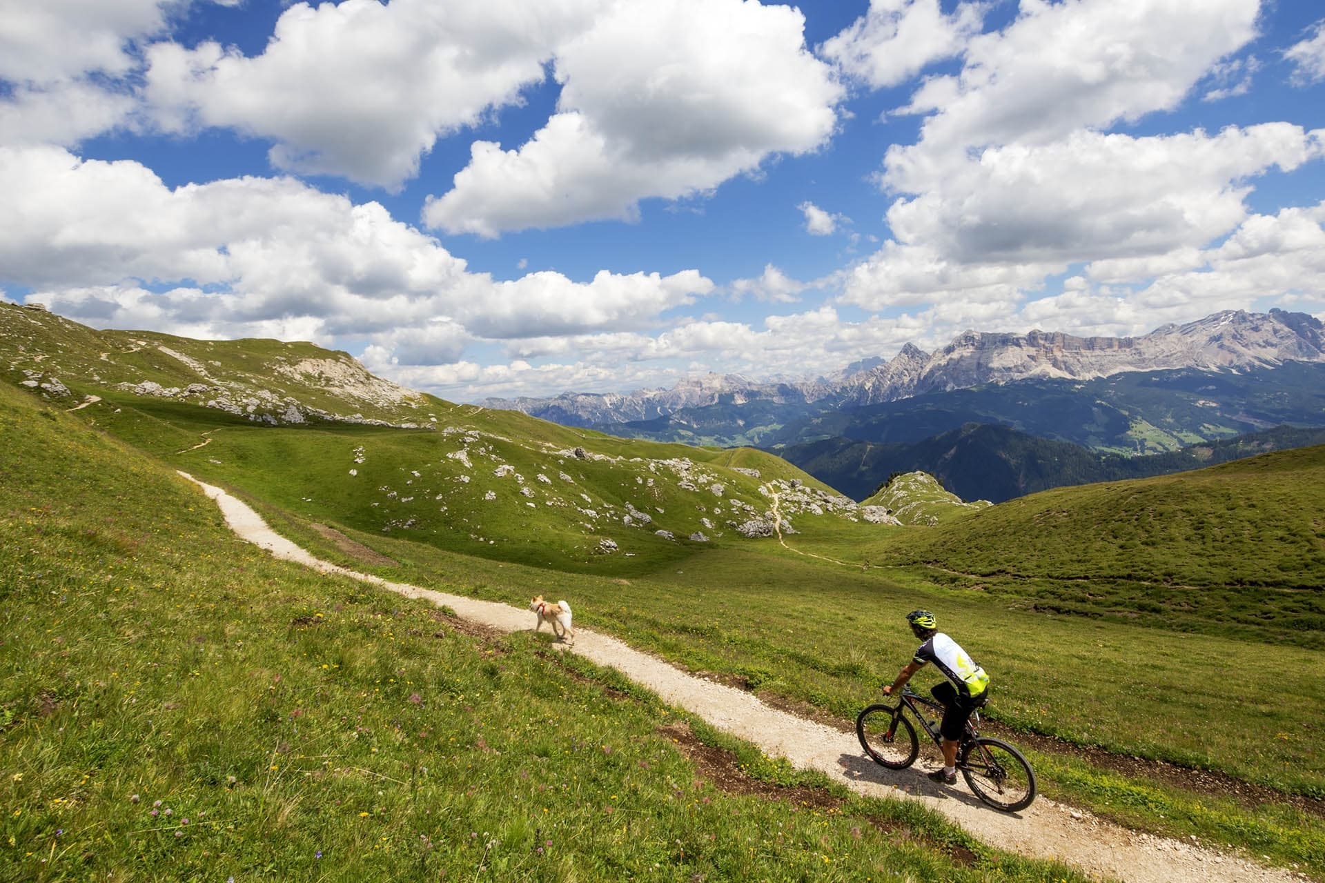 Percorsi per i ciclisti più esigenti