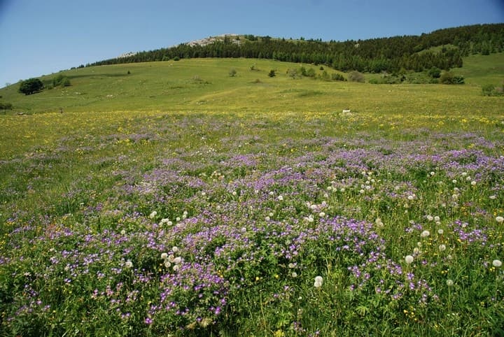 Monte Bondone