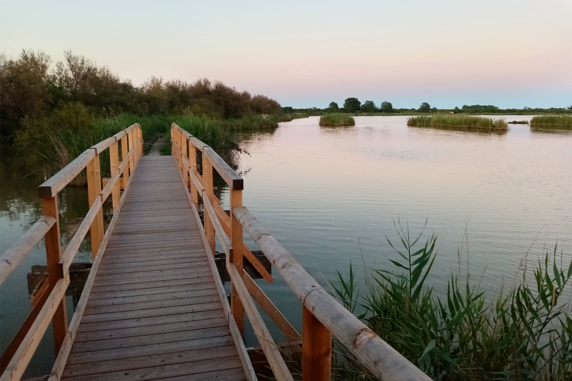 Delta del Po in bici. I lidi ferraresi e Gabicce