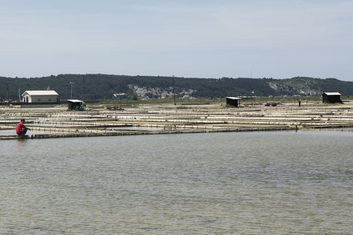Parco naturale saline di Sicciole