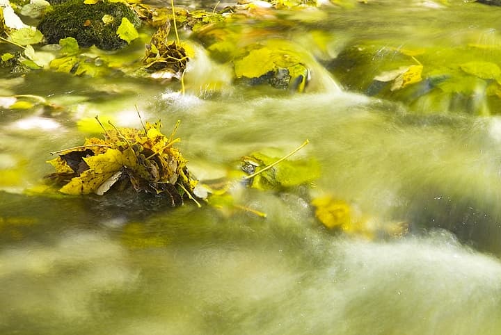 Val di Non: mele e castelli in Trentino