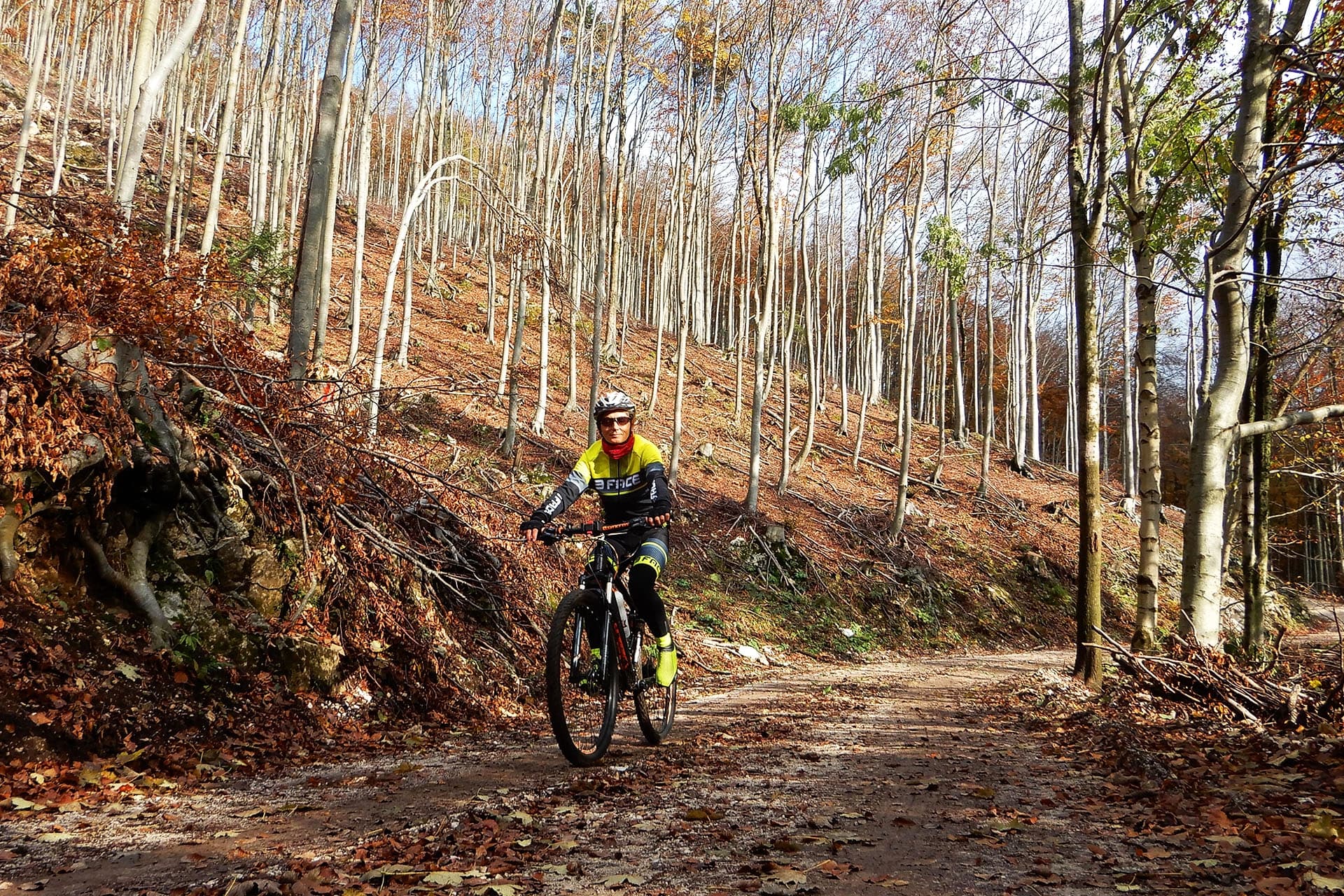 Trnovski Gozd in bici
