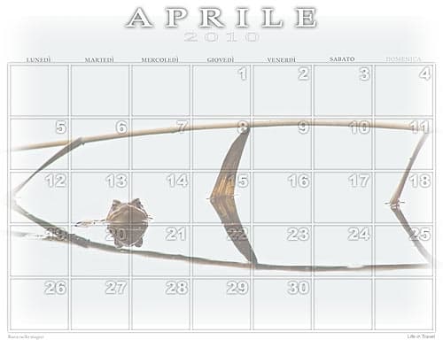 Calendario foto 2009