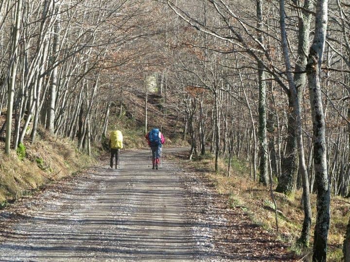 Di qui passò Francesco: da Sansepolcro a Città di Castello