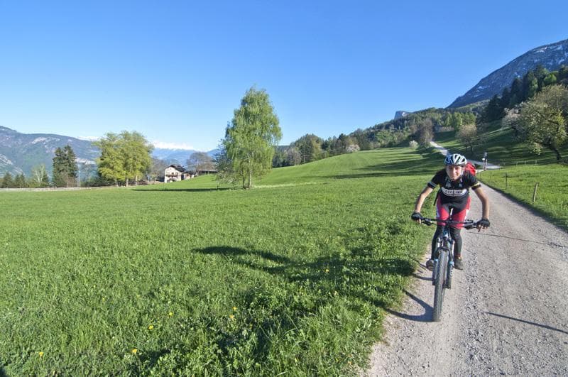 sella in mtb