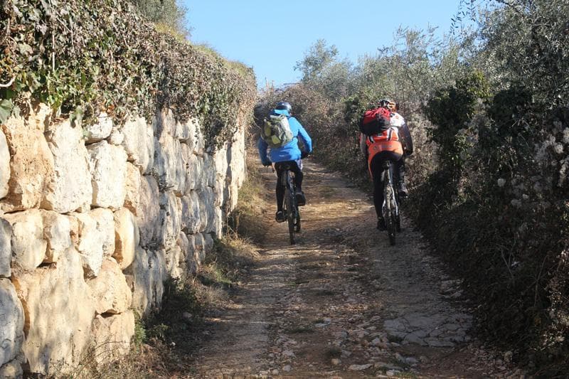 attivita sportiva mtb