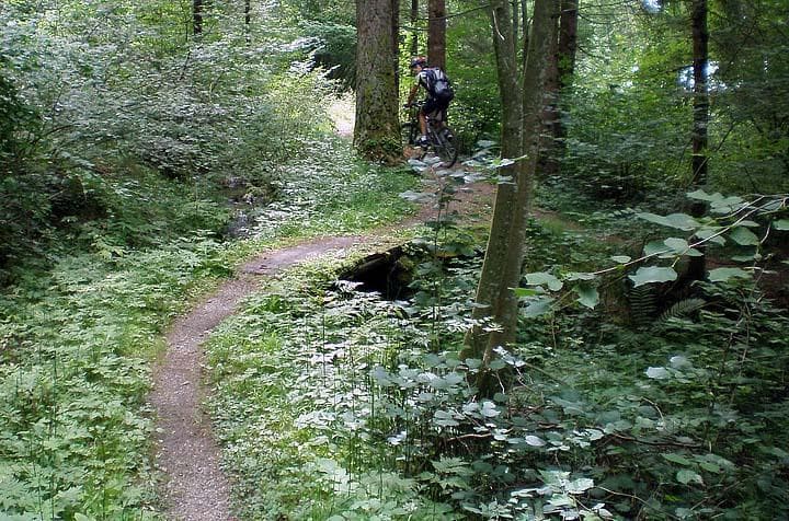 Single trail