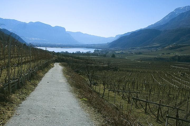 Caldaro e Monticolo in MTB