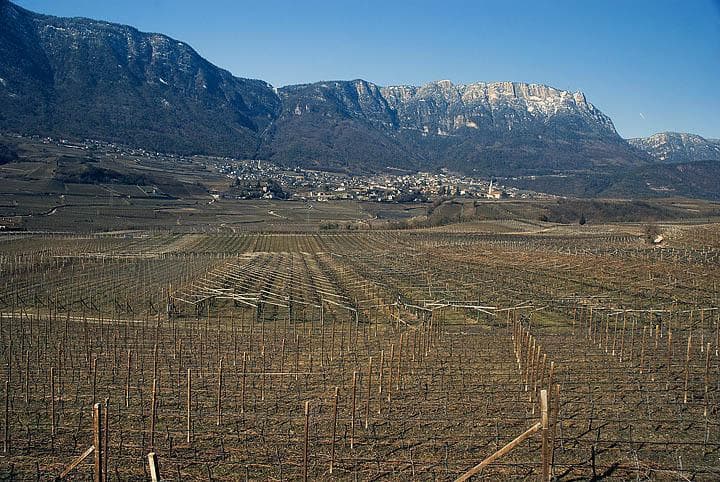 Caldaro e Monticolo in MTB