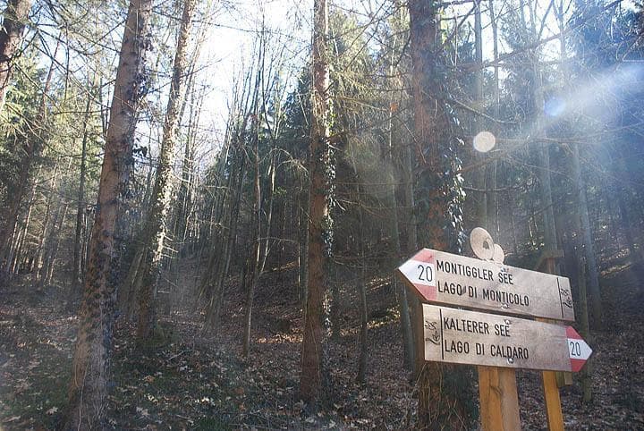 Caldaro e Monticolo in MTB