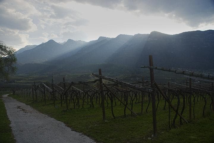 Caldaro e Monticolo in MTB