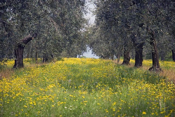 Primavera in MTB sul Garda