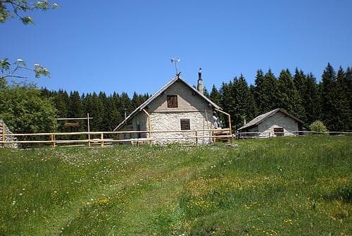malga marcai