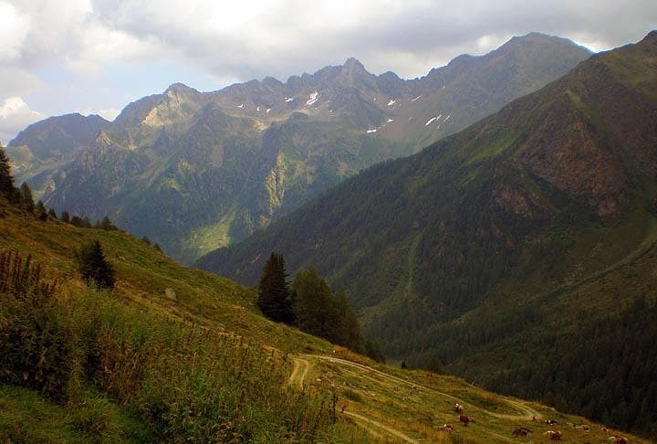 Malghe Val di Sole