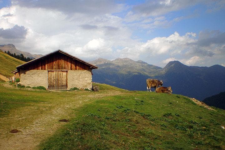 Malghe Val di Rabbi