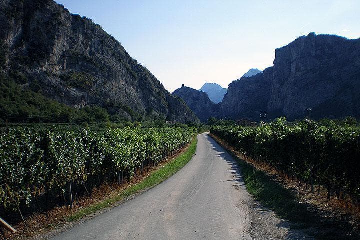 Monte Velo