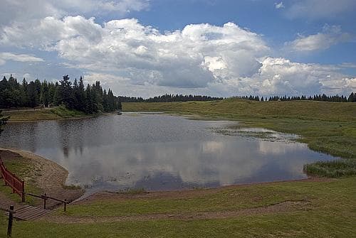 lavaz