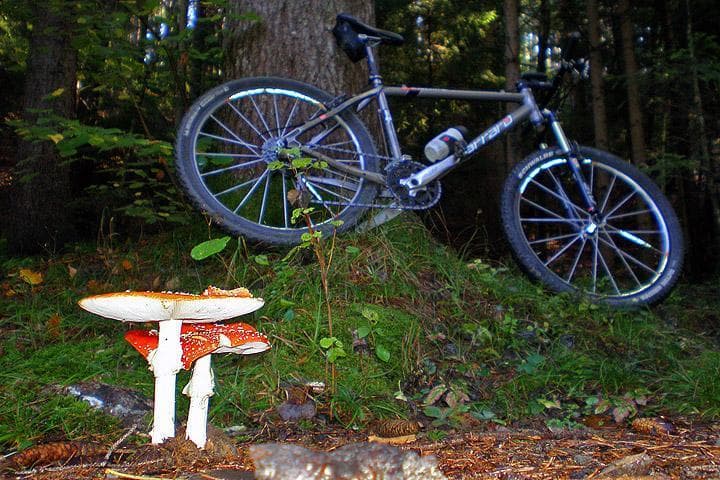 altopiano di piné in MTB
