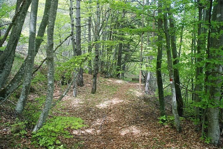 Lago di Tenno MTB