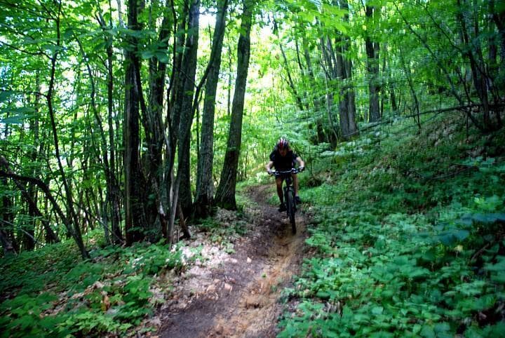 MTB Zocca