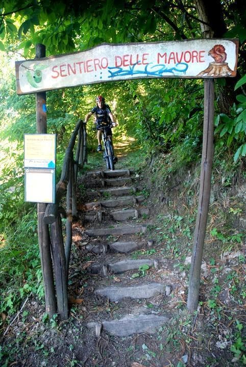 MTB Zocca