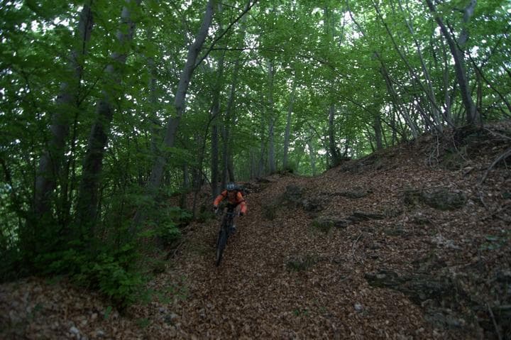 Discesa tecnica Lessinia MTB