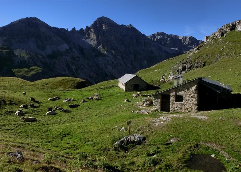09 MALGA PEDENOLO