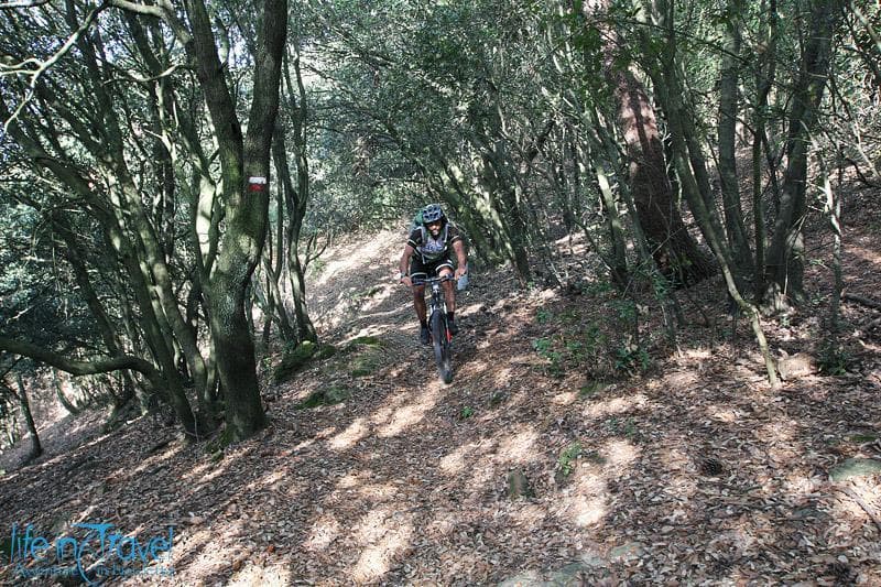 alta via 5 terre trail