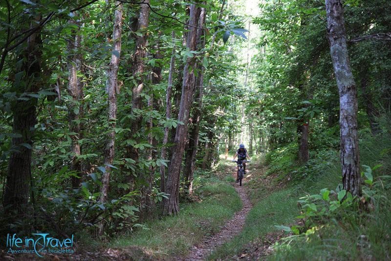 bosco alta via 5 terre
