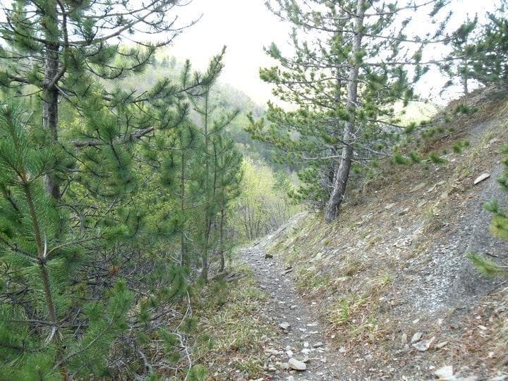 appennino forlivese 3
