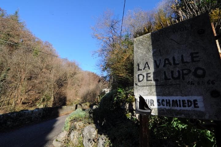 valle del lupo