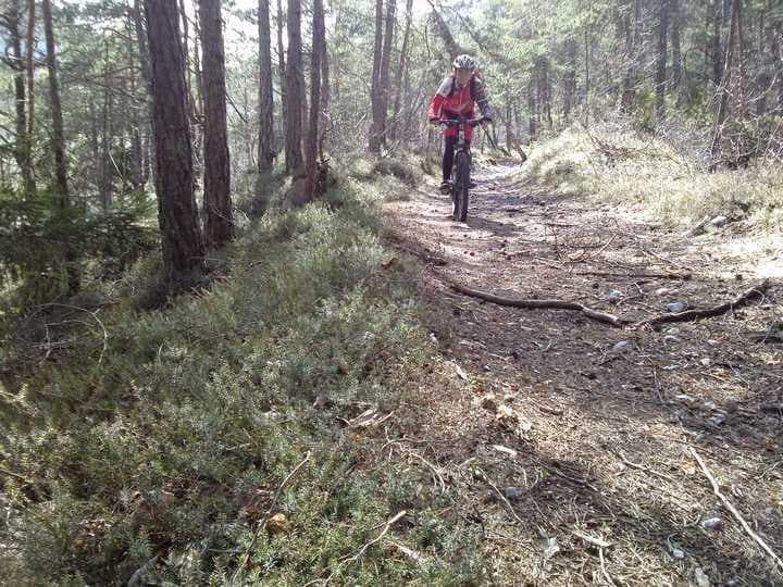 mtb parco adamello brenta