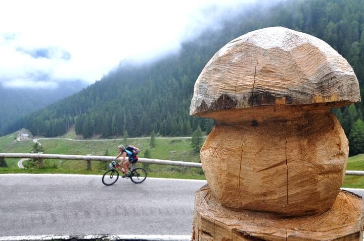 fungo verso il Passo Manghen