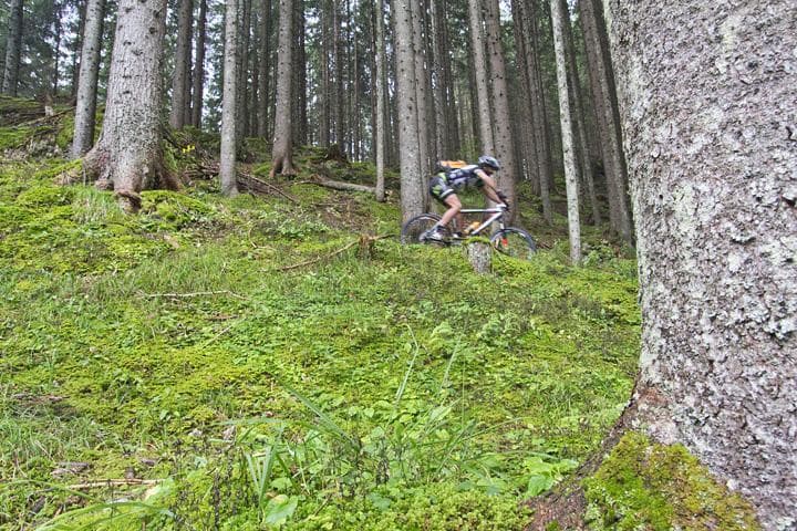 mtb boschi Latemar