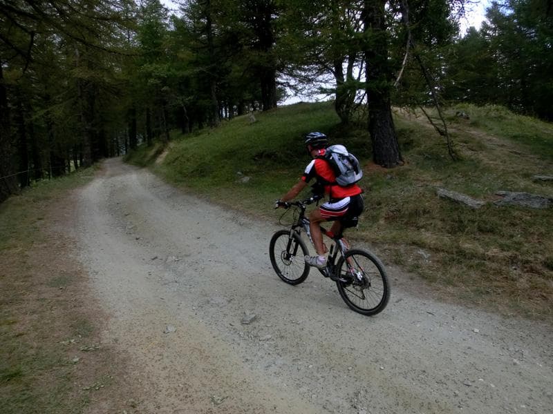 05 DAVIDE