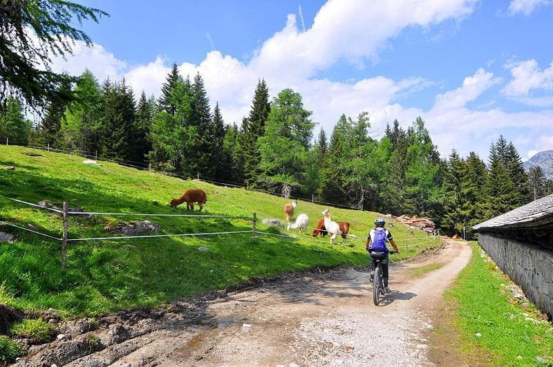 mtb dolomiti spinale folgarida 10