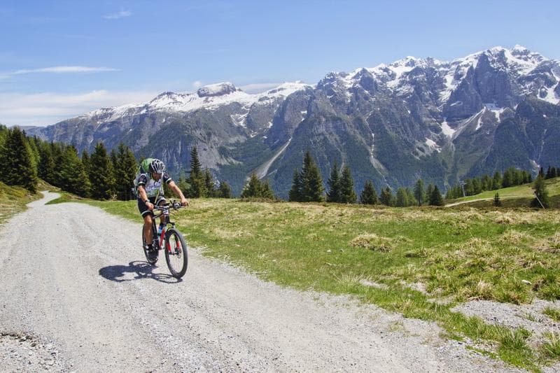 verso orso bruno mtb