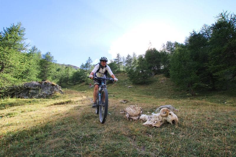 discesa single trail