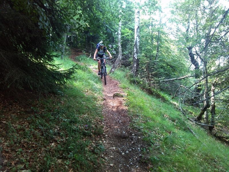 discesa single trail