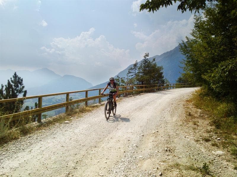 forestale per ranzo