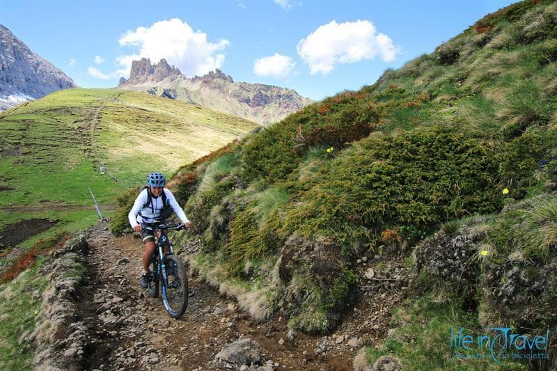 denti di terrarossa mtb
