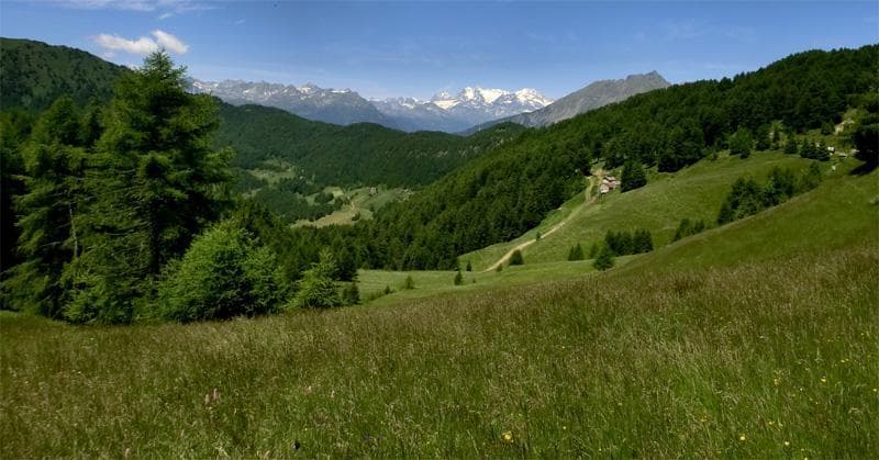 03 VALLE DI GUSPESSA