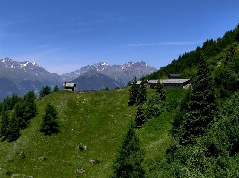 05 STRADA DI ARROCCAMENTO