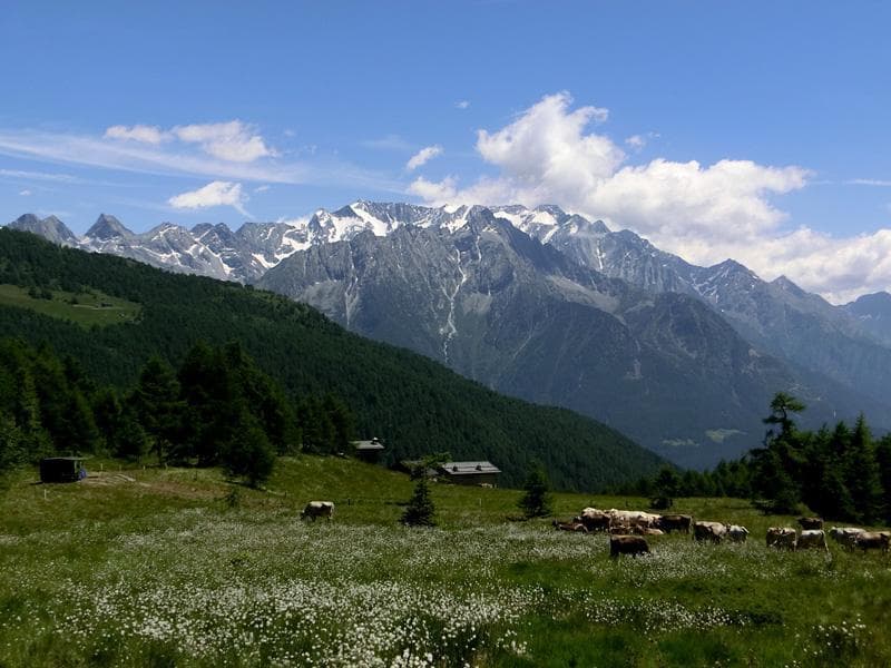 07 ALPEGGI DEL MORTIROLO