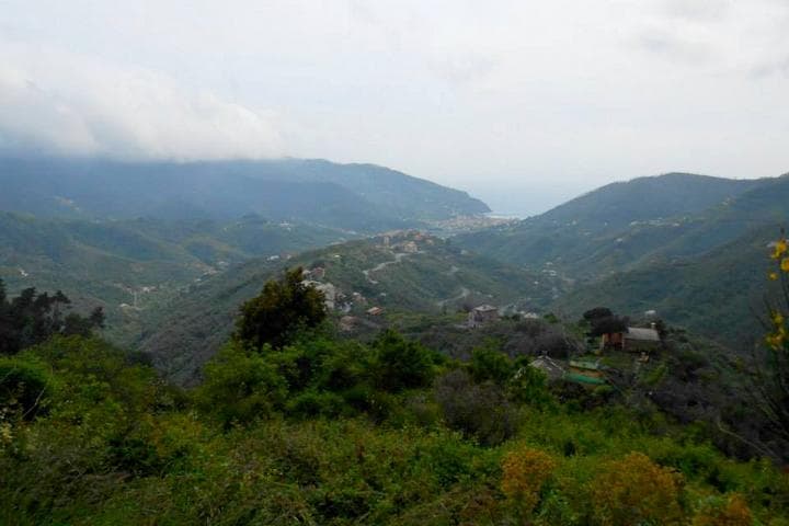 panorama levanto
