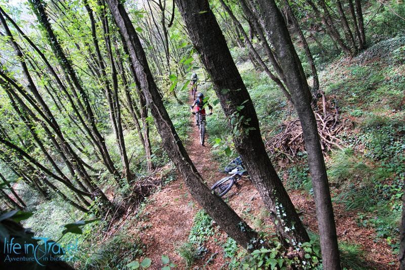 single trail ne bosco bossico