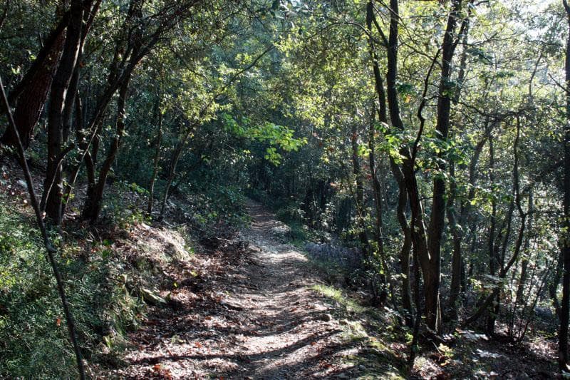 laquietenelbosco