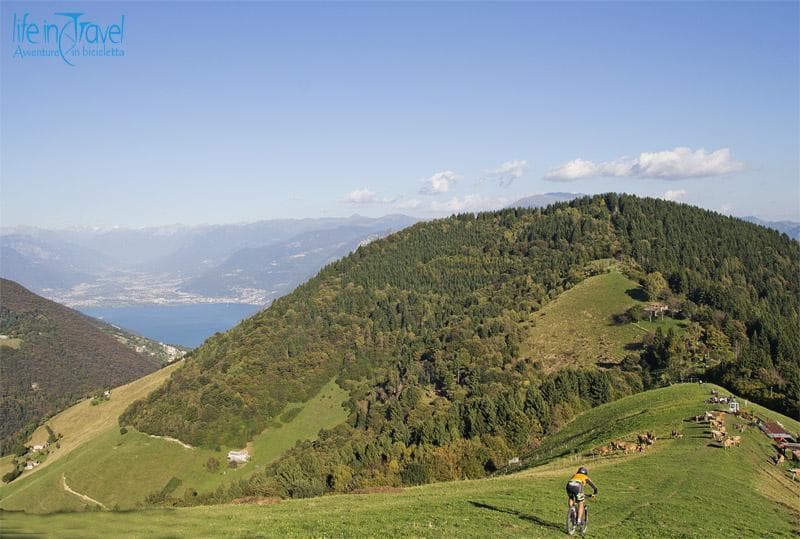 oltre il roccolo