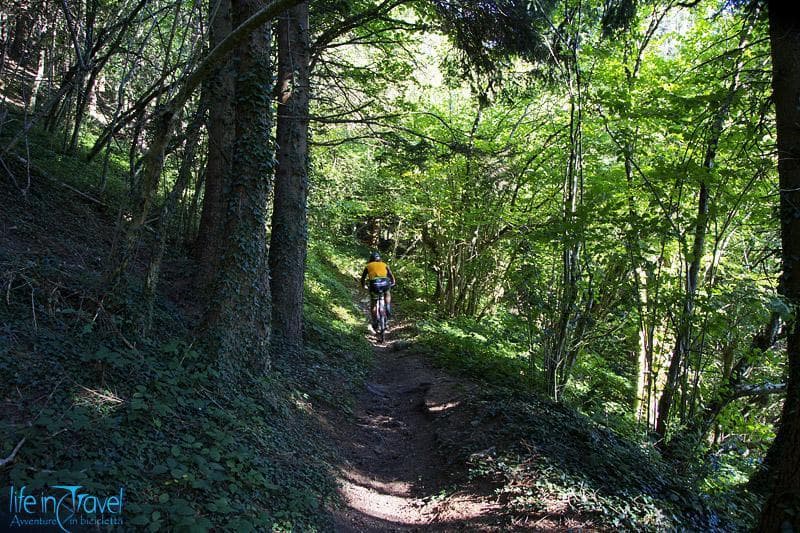 single trail